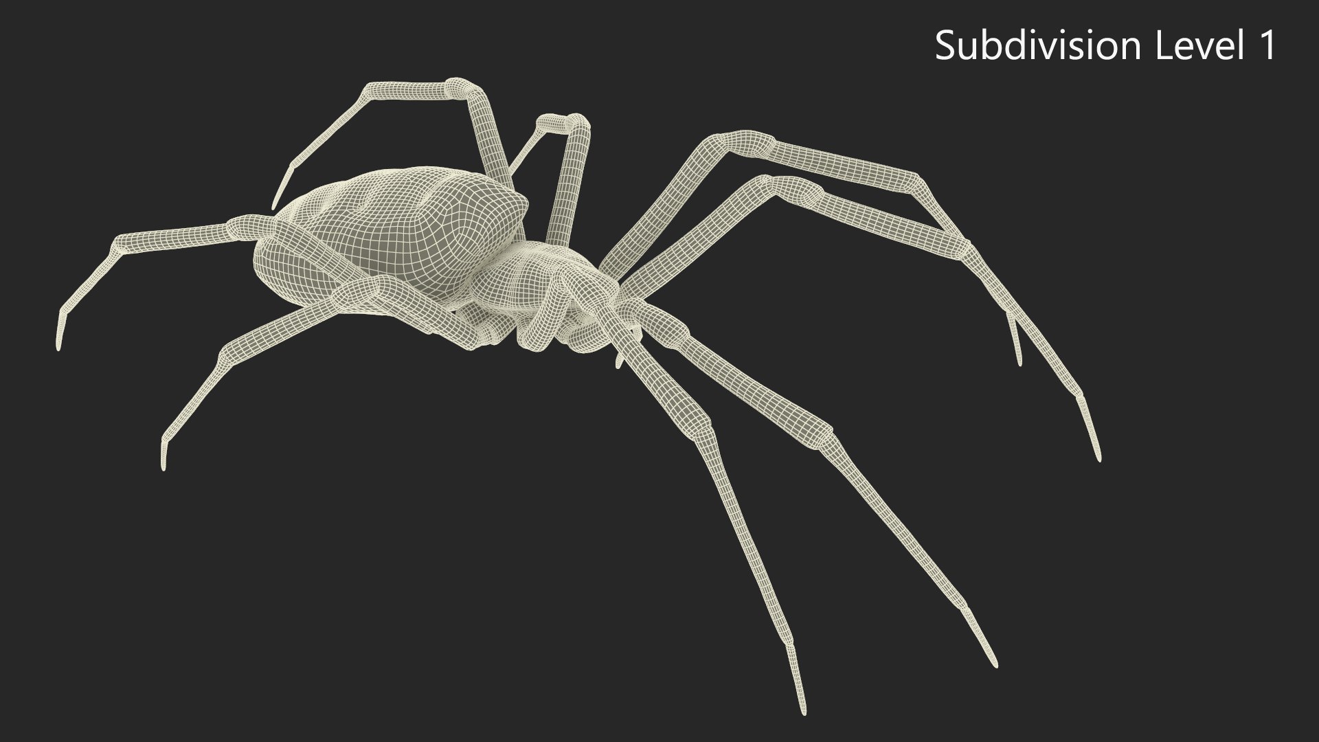3D model Argiope Trifasciata Spider Rigged for Maya https://p.turbosquid.com/ts-thumb/Qh/lqJ01L/Ws/argiopetrifasciataspiderriggedformayac4dmodel024/jpg/1664224002/1920x1080/fit_q87/11929517f1bf63456ab8092b56f477c644f86710/argiopetrifasciataspiderriggedformayac4dmodel024.jpg