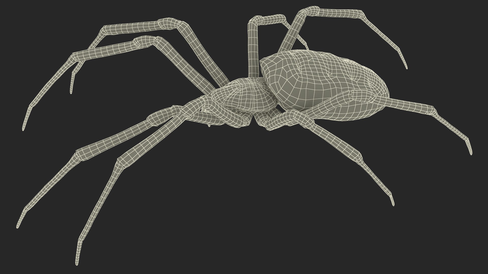3D model Argiope Trifasciata Spider Rigged for Maya https://p.turbosquid.com/ts-thumb/Qh/lqJ01L/Xj/argiopetrifasciataspiderriggedformayac4dmodel030/jpg/1664224023/1920x1080/fit_q87/f2fe0f3a310db123a76ac8cfd719f8f00f178f37/argiopetrifasciataspiderriggedformayac4dmodel030.jpg