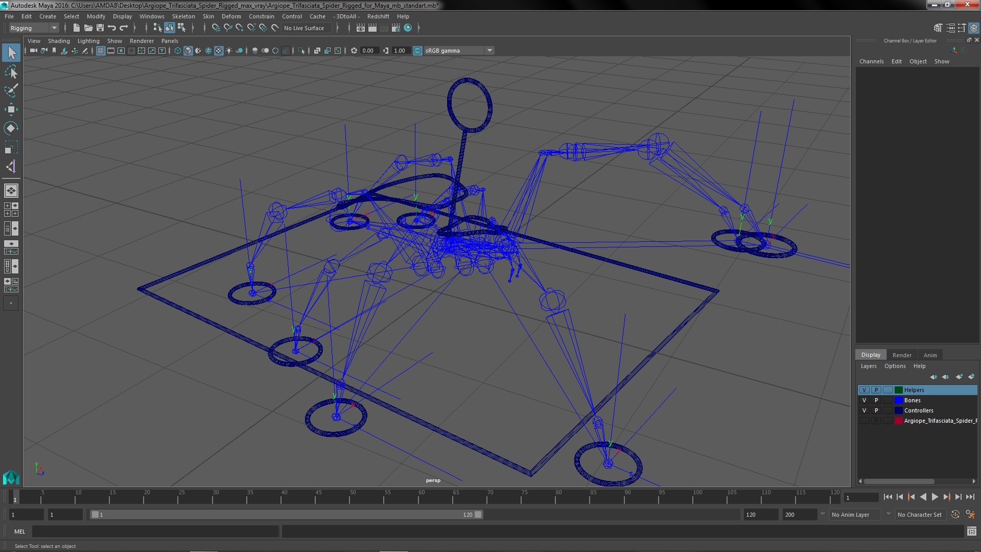 3D model Argiope Trifasciata Spider Rigged for Maya - TurboSquid 1964605