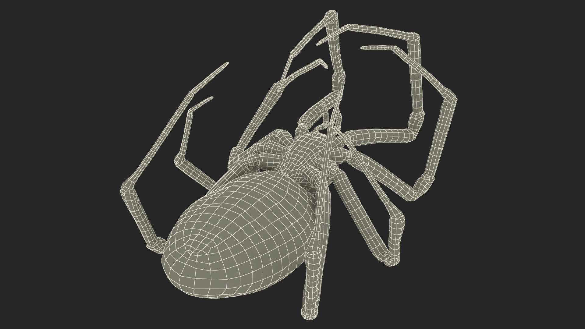 3D model Argiope Trifasciata Spider Rigged for Maya https://p.turbosquid.com/ts-thumb/Qh/lqJ01L/gJ/argiopetrifasciataspiderriggedformayac4dmodel041/jpg/1664224063/1920x1080/fit_q87/010a793a59c963db06b3e8c94e52465774de8af5/argiopetrifasciataspiderriggedformayac4dmodel041.jpg