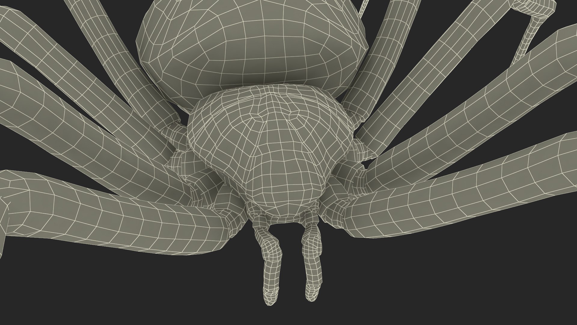 3D model Argiope Trifasciata Spider Rigged for Maya https://p.turbosquid.com/ts-thumb/Qh/lqJ01L/ny/argiopetrifasciataspiderriggedformayac4dmodel034/jpg/1664224037/1920x1080/fit_q87/395fc1de729b431a743ecdd2f29255f24b639df9/argiopetrifasciataspiderriggedformayac4dmodel034.jpg
