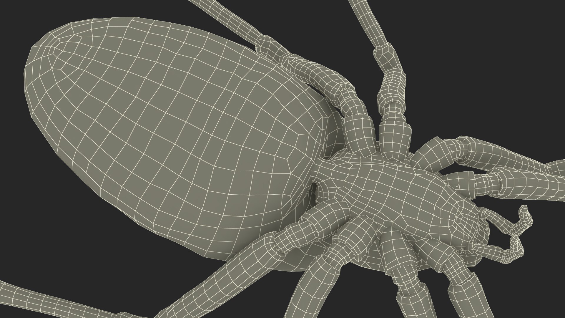 3D model Argiope Trifasciata Spider Rigged for Maya https://p.turbosquid.com/ts-thumb/Qh/lqJ01L/tL/argiopetrifasciataspiderriggedformayac4dmodel036/jpg/1664224045/1920x1080/fit_q87/3d4c615b1900badbe26184be860584e93cff4616/argiopetrifasciataspiderriggedformayac4dmodel036.jpg