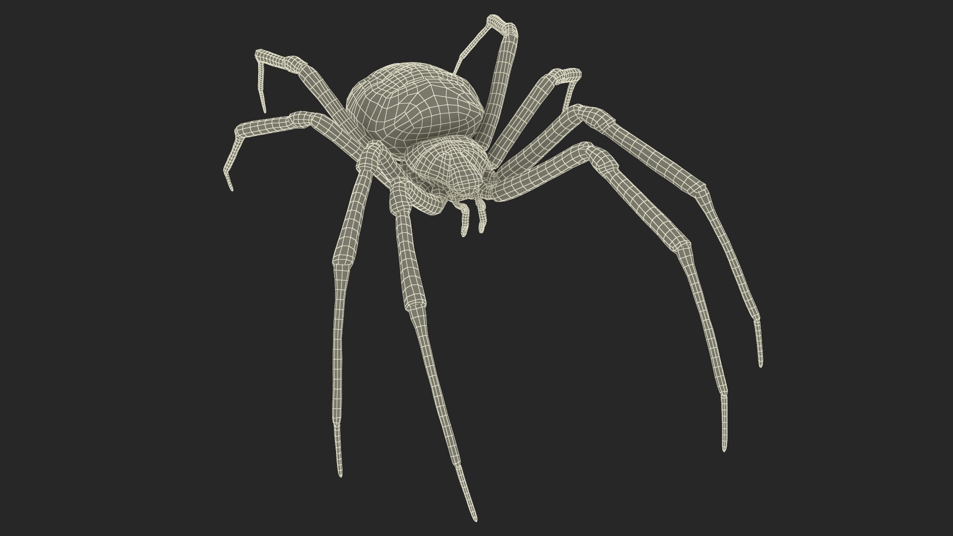 3D model Argiope Trifasciata Spider Rigged for Maya https://p.turbosquid.com/ts-thumb/Qh/lqJ01L/ve/argiopetrifasciataspiderriggedformayac4dmodel031/jpg/1664224027/1920x1080/fit_q87/1a85cca44fbdf2552d13bb45b6c79c80eaa1cf00/argiopetrifasciataspiderriggedformayac4dmodel031.jpg