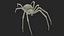 Argiope Trifasciata Spider Rigged per Maya