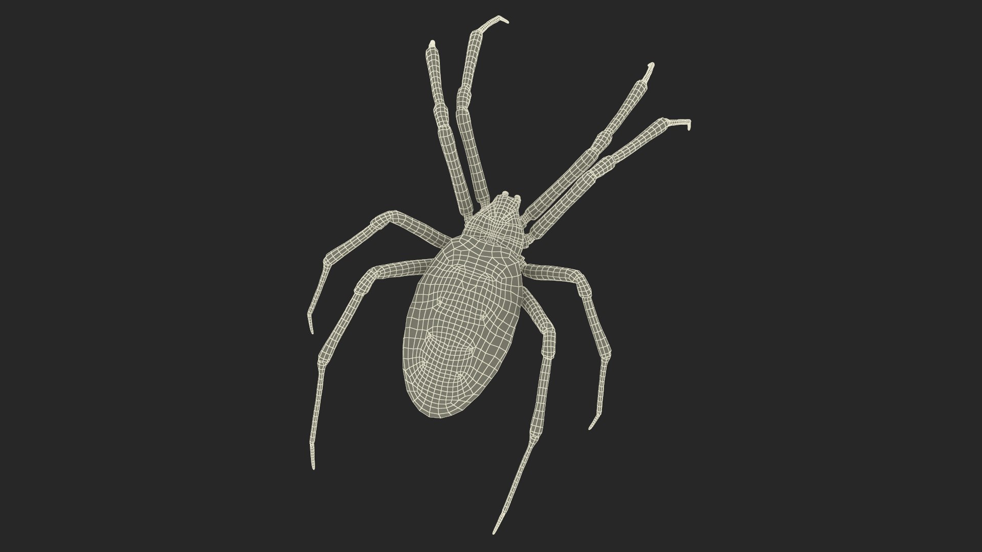 3D model Argiope Trifasciata Spider Rigged for Maya https://p.turbosquid.com/ts-thumb/Qh/lqJ01L/xL/argiopetrifasciataspiderriggedformayac4dmodel029/jpg/1664224020/1920x1080/fit_q87/9487680f48e3bad450bec082b3a901492612eeac/argiopetrifasciataspiderriggedformayac4dmodel029.jpg