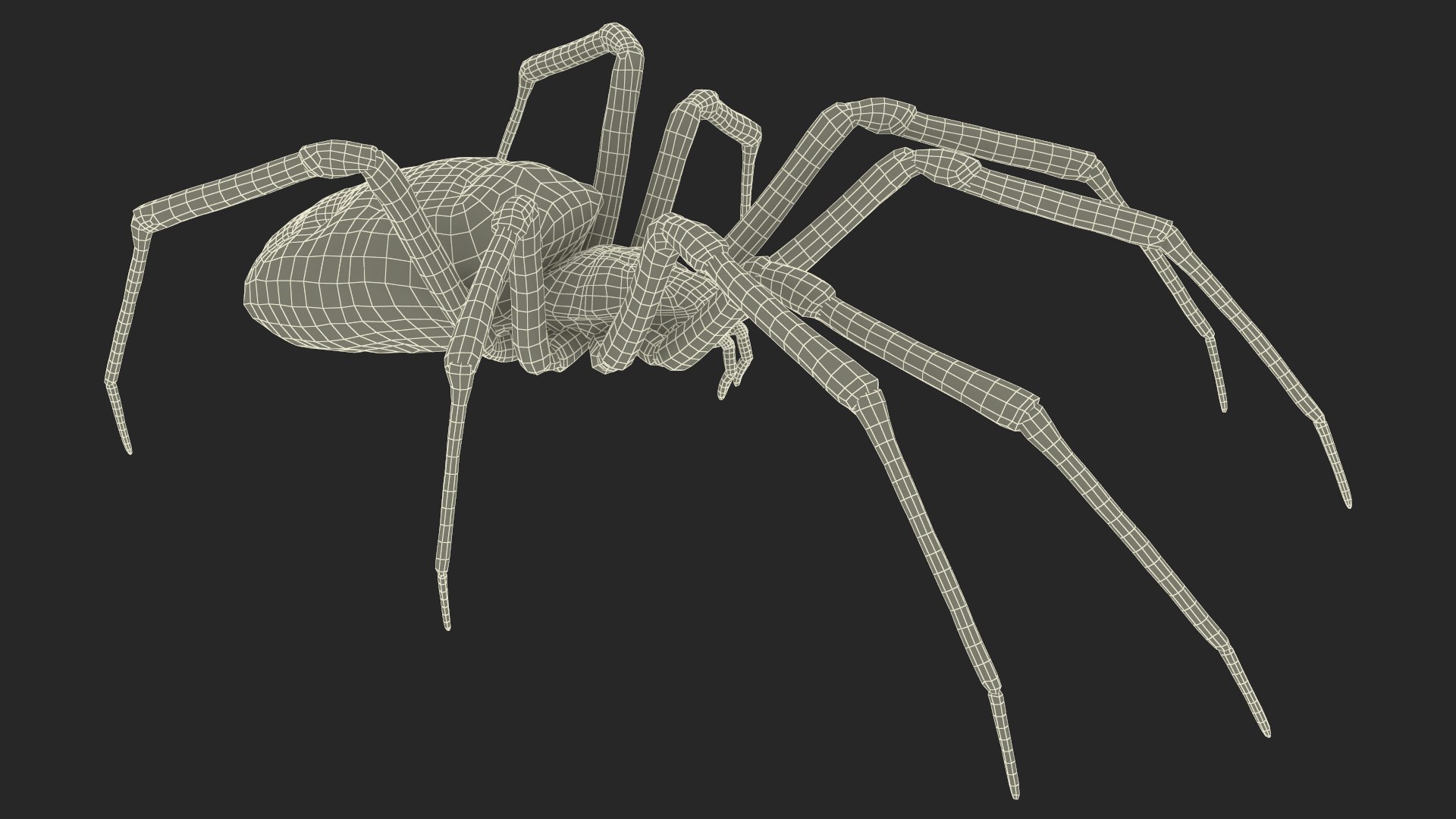 3D model Argiope Trifasciata Spider Rigged for Maya https://p.turbosquid.com/ts-thumb/Qh/lqJ01L/zu/argiopetrifasciataspiderriggedformayac4dmodel037/jpg/1664224049/1920x1080/fit_q87/c8ea1cf15110d106719dcf324ae9a864eca51215/argiopetrifasciataspiderriggedformayac4dmodel037.jpg