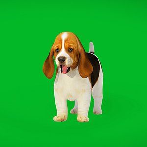 3D Basset Hound Puppy Dog model