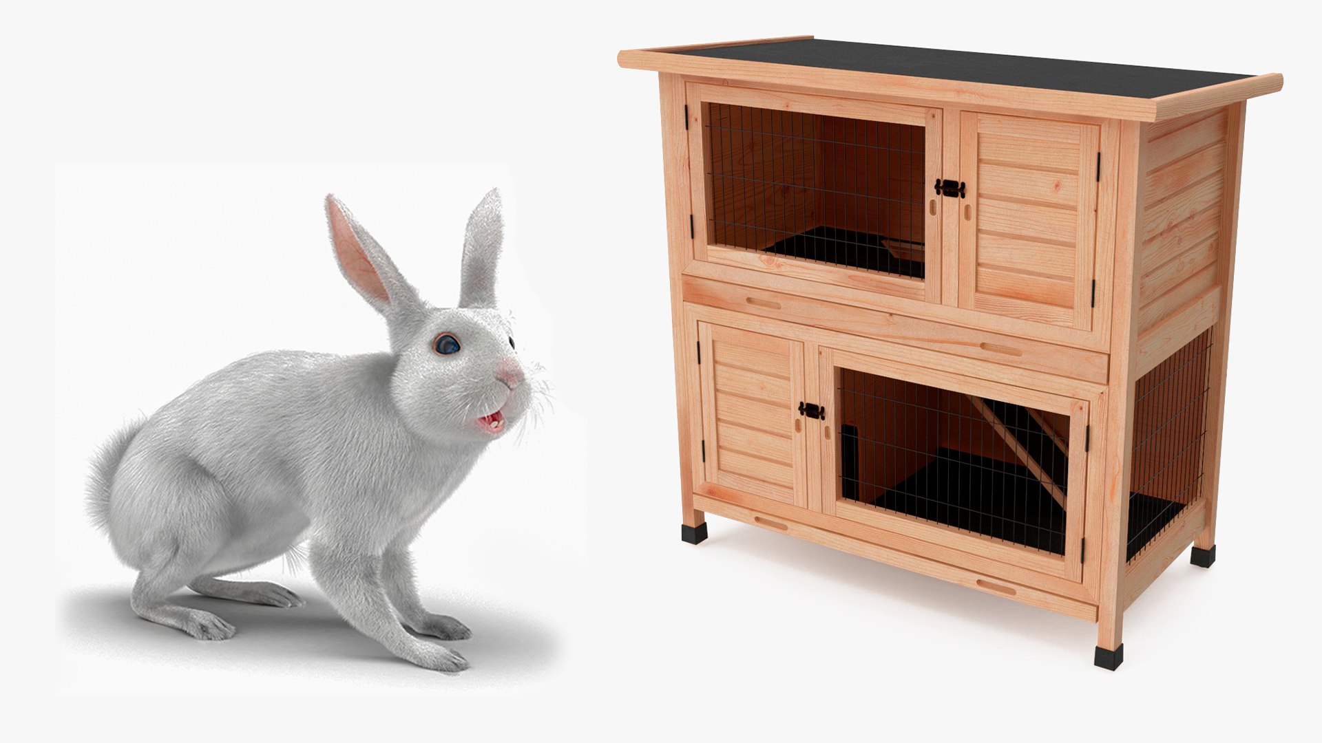 Rigged White Rabbit With Wooden Hutch Collection 3D - TurboSquid 2356967