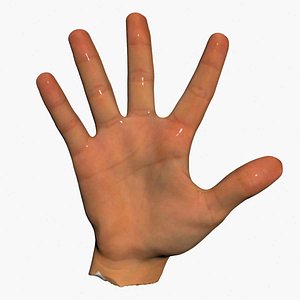 Human Hand 3D Scan High Quality 3D