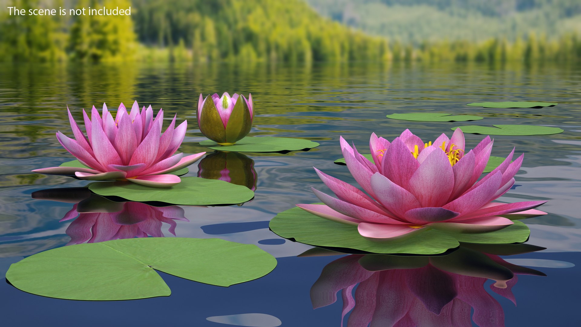 water lily leaf set 3D https://p.turbosquid.com/ts-thumb/Qh/vef6gU/S0DxgCz8/waterlilyleafsetvray3dmodel018/jpg/1588209442/1920x1080/fit_q87/b9fc5d8c7b7989de2c0bf88a430c6be6e9456a6d/waterlilyleafsetvray3dmodel018.jpg