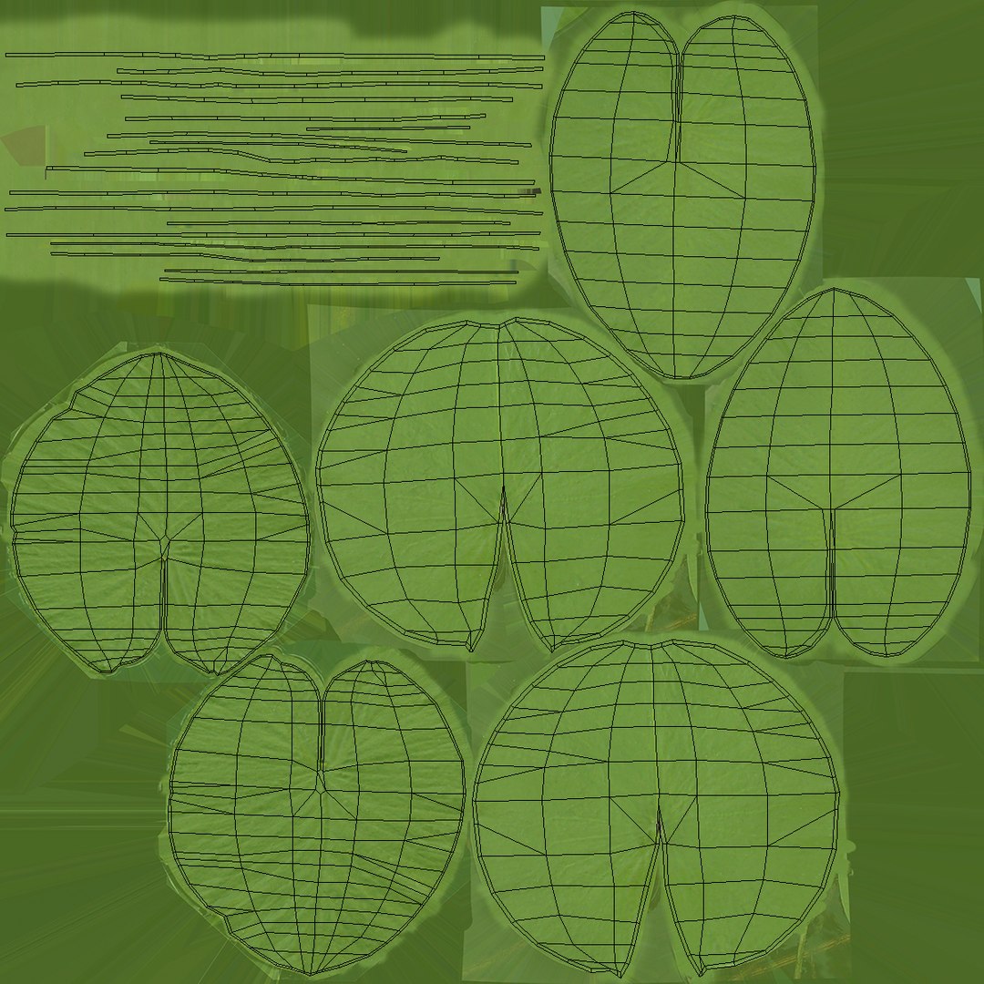 water lily leaf set 3D https://p.turbosquid.com/ts-thumb/Qh/vef6gU/X3kgPUm9/waterlilyleafsetvray3dmodel008/jpg/1588209367/1920x1080/fit_q87/786b7c660a0ff9c96cc834f6e1cb9b07d64dfc12/waterlilyleafsetvray3dmodel008.jpg