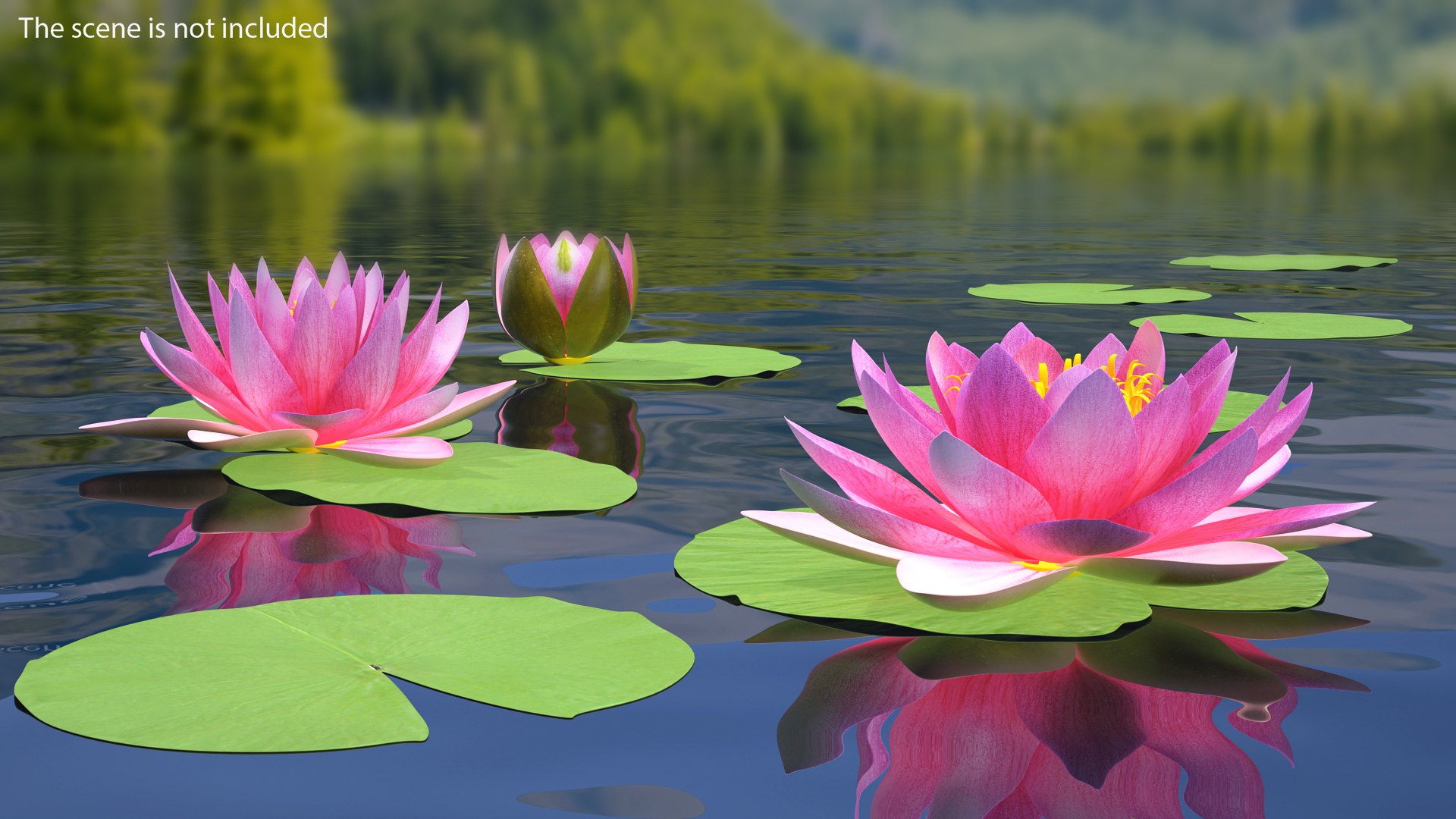 water lily leaf set 3D https://p.turbosquid.com/ts-thumb/Qh/vef6gU/im22MbJY/waterlilyleafsetvray3dmodel001/jpg/1588209315/1920x1080/fit_q87/5f0cfccb47563d43f4fe5107a86f3c2e6878473d/waterlilyleafsetvray3dmodel001.jpg