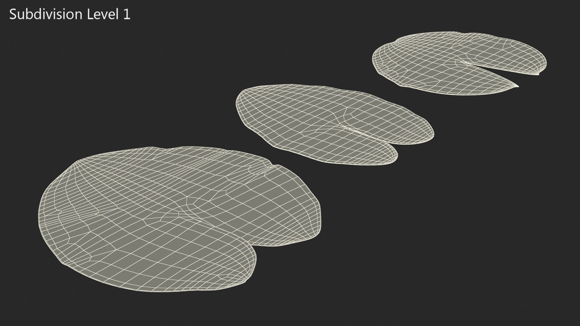 water lily leaf set 3D https://p.turbosquid.com/ts-thumb/Qh/vef6gU/oQUqjfl1/waterlilyleafsetvray3dmodel007/jpg/1588209360/1920x1080/fit_q87/62ca0054320c570f705b1fdf0fb2876d1f8928e7/waterlilyleafsetvray3dmodel007.jpg