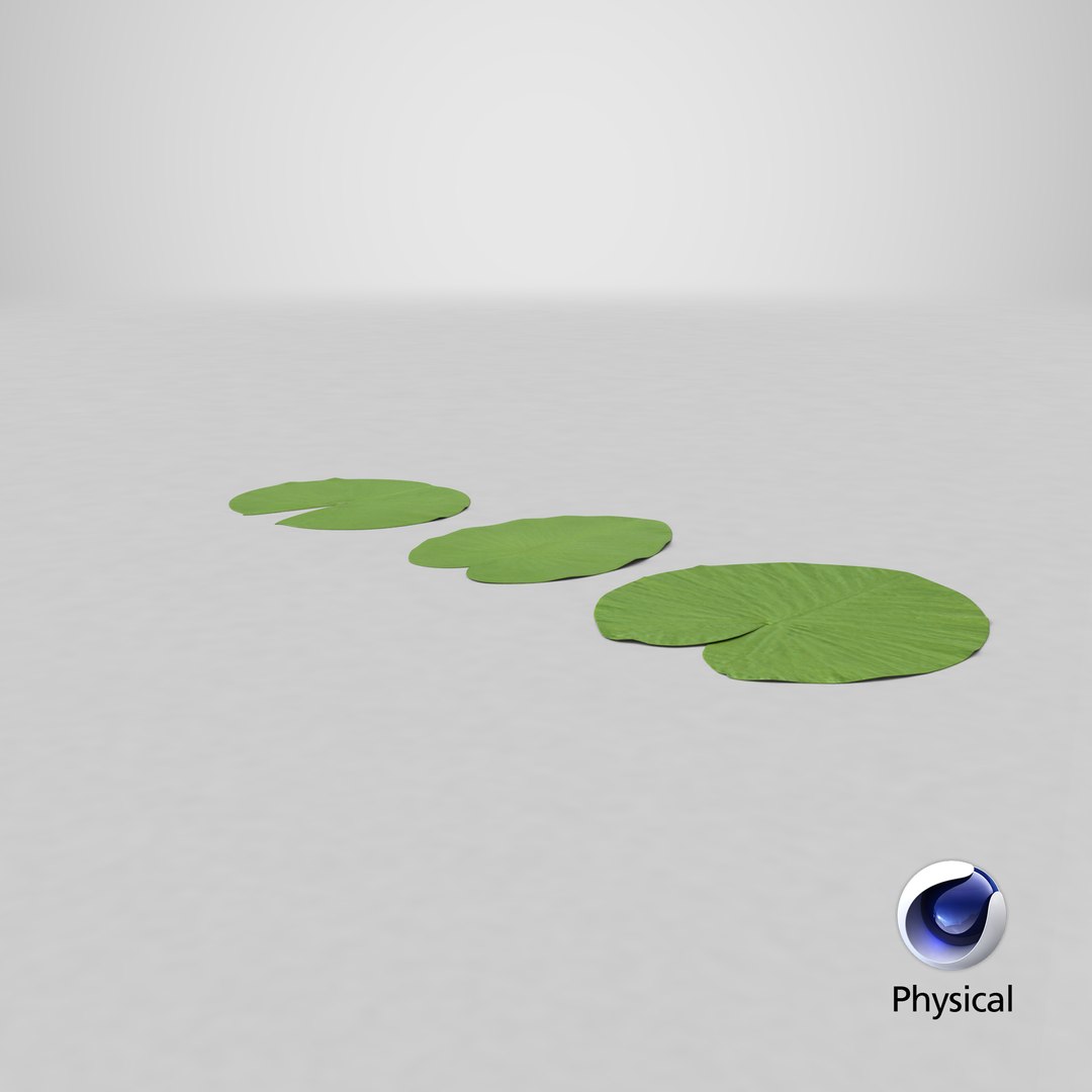 water lily leaf set 3D https://p.turbosquid.com/ts-thumb/Qh/vef6gU/qI/stemcell_cinema_4d_physical_render/png/1620647811/1920x1080/fit_q87/940802d49843caf210eddee557fddfe1ec271753/stemcell_cinema_4d_physical_render.jpg