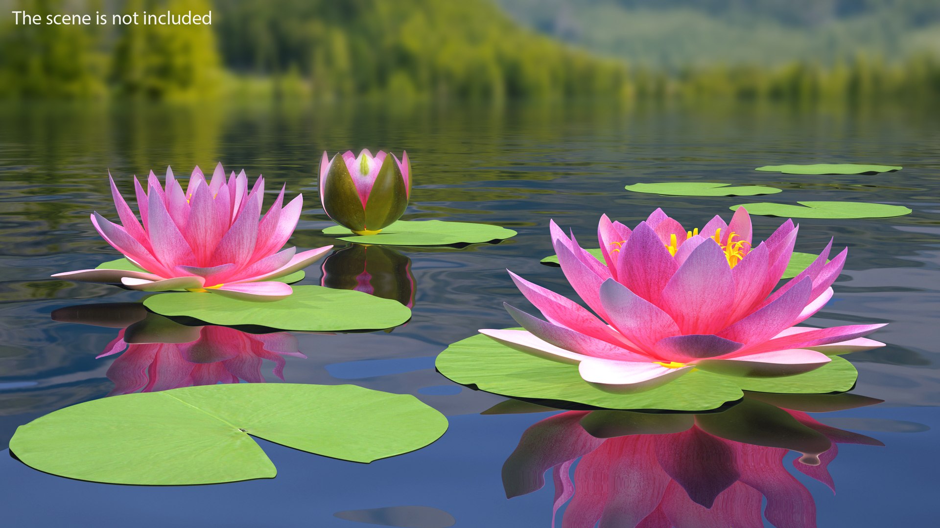 water lily leaf set 3D https://p.turbosquid.com/ts-thumb/Qh/vef6gU/qv2ixYGr/waterlilyleafsetvray3dmodel017/jpg/1588209435/1920x1080/fit_q87/669c8118337b5dd733d32e6aaada98ff08acf891/waterlilyleafsetvray3dmodel017.jpg