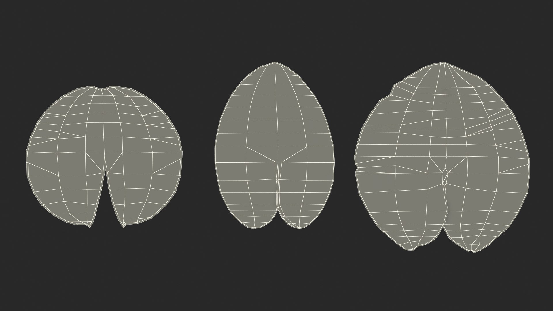 water lily leaf set 3D https://p.turbosquid.com/ts-thumb/Qh/vef6gU/ryeldOFj/waterlilyleafsetvray3dmodel015/jpg/1588209414/1920x1080/fit_q87/07fb60d19af0491b3ffab59f51f240122a1b567f/waterlilyleafsetvray3dmodel015.jpg
