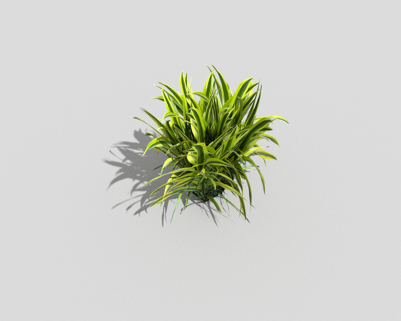 3d Model Of Plant