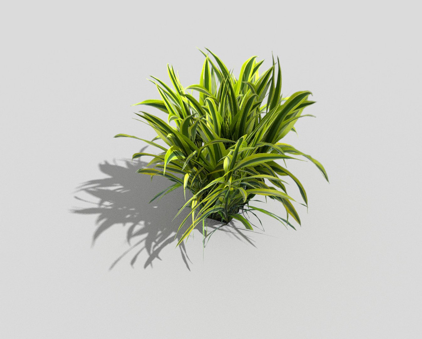 3d Model Of Plant