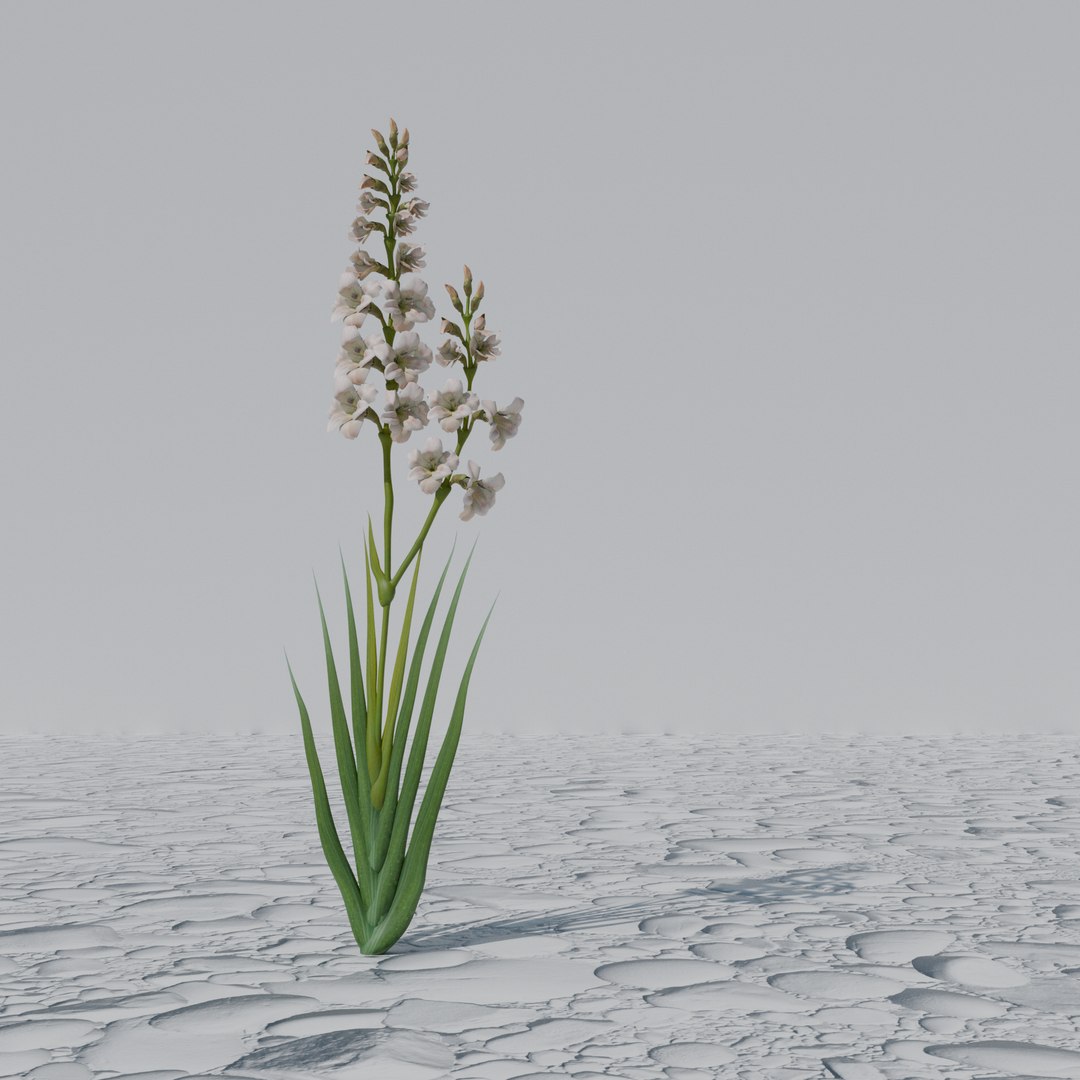 Garden Flowers 3D https://p.turbosquid.com/ts-thumb/Qi/AjPNle/wv/3/png/1787019734/1920x1080/fit_q87/5ae61b480c977a6df4948e47dba7e1a9c50af9c4/3.jpg