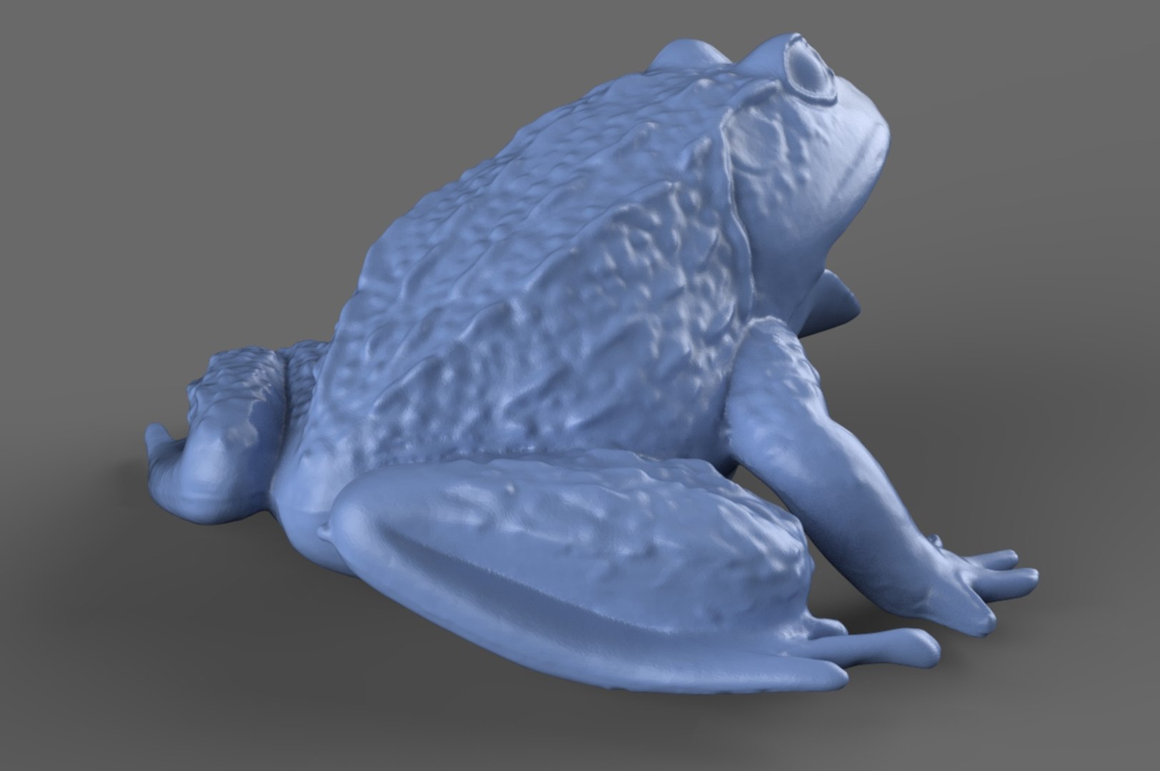3d Model Scan Frog Toy