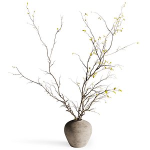 Bouquet 62