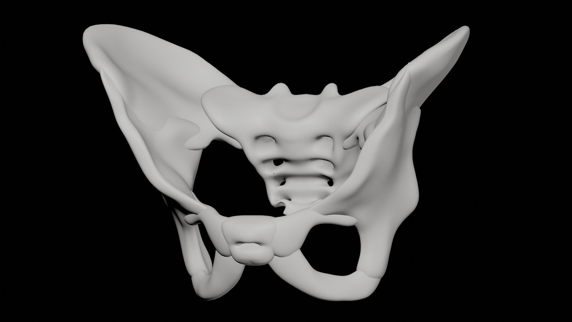 Human Pelvis Model - TurboSquid 1739142