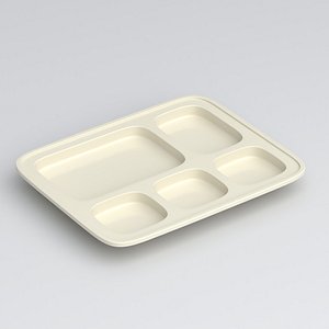 cream color plastic food tray model