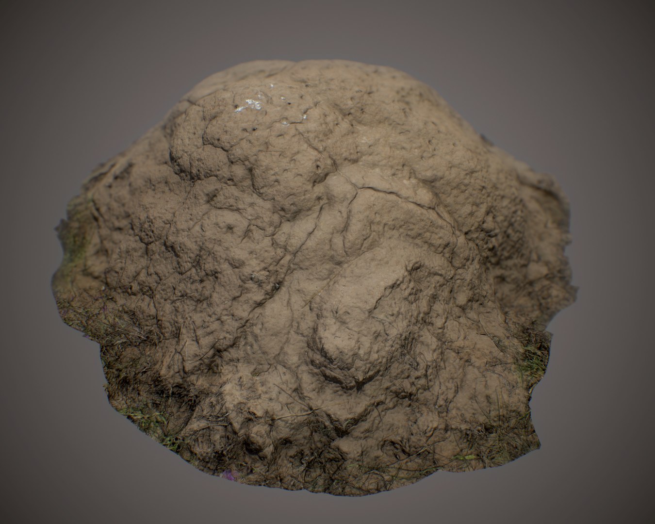 3D scan model https://p.turbosquid.com/ts-thumb/Qi/aAzxVu/UGlsjK72/anthill03e/jpg/1519656064/1920x1080/fit_q87/88d11f7c9e24356d7aef701320552b0ec6279d53/anthill03e.jpg