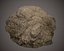 Anthill_03