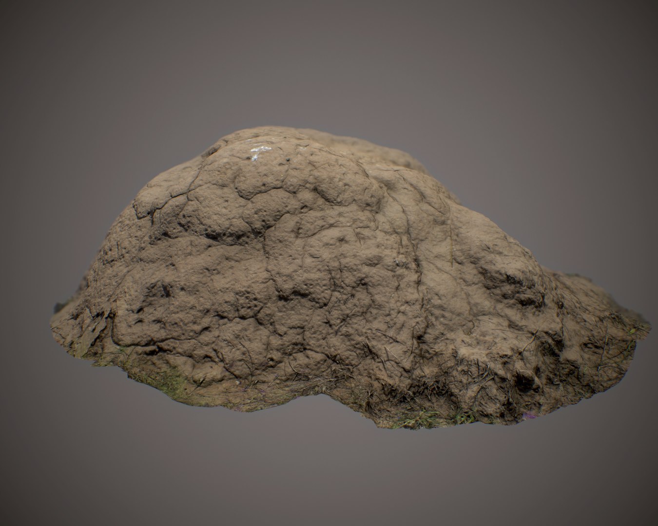 3D scan model https://p.turbosquid.com/ts-thumb/Qi/aAzxVu/iIbu7lwY/anthill03d/jpg/1519656064/1920x1080/fit_q87/584ac31c85e8b0563f2d73eb51499614271cd1d8/anthill03d.jpg