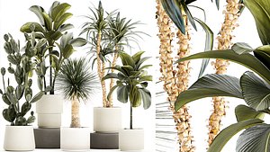 3D Set of beautiful desert plants in flowerpots for decor 1321