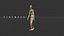 Dummy Wooden Figure Rigged