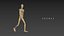 Dummy Wooden Figure Rigged