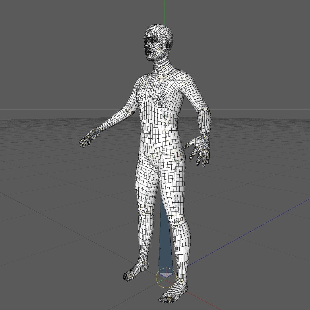 Realistic Human Body 25 Model - TurboSquid 1260197