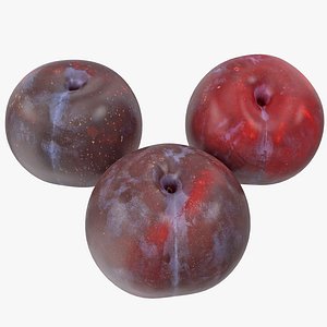 plums 01-03 3D model