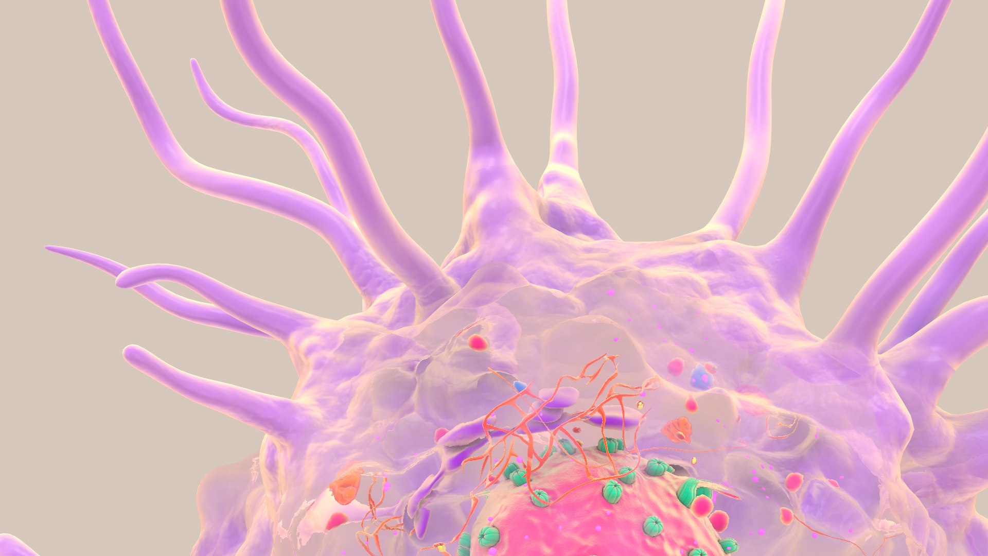 3D Dendritic Cell Structure model https://p.turbosquid.com/ts-thumb/Qj/8Z7D0P/93/dcess_image_0023/jpg/1715084863/1920x1080/fit_q87/4dd2e9f19385f790addfae8009828d5f19d25ad5/dcess_image_0023.jpg