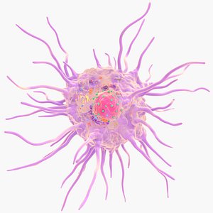 3D Dendritic Cell Structure model