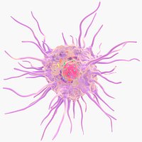Dendritic Cell Structure
