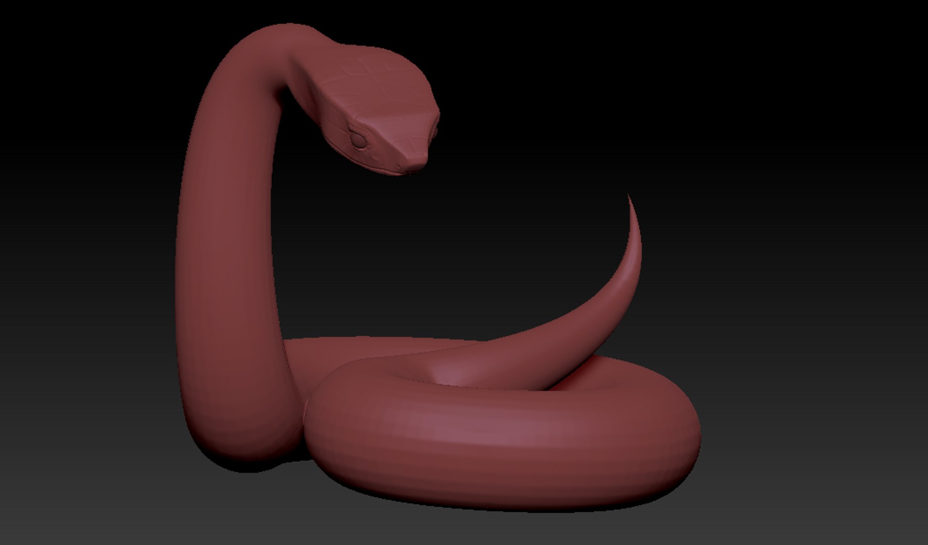 3D Snake Base Mesh Model - TurboSquid 2407832