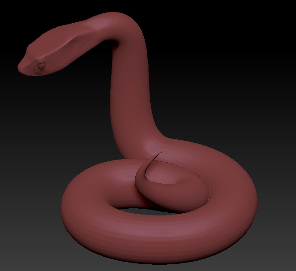 3D Snake Base Mesh Model - TurboSquid 2407832