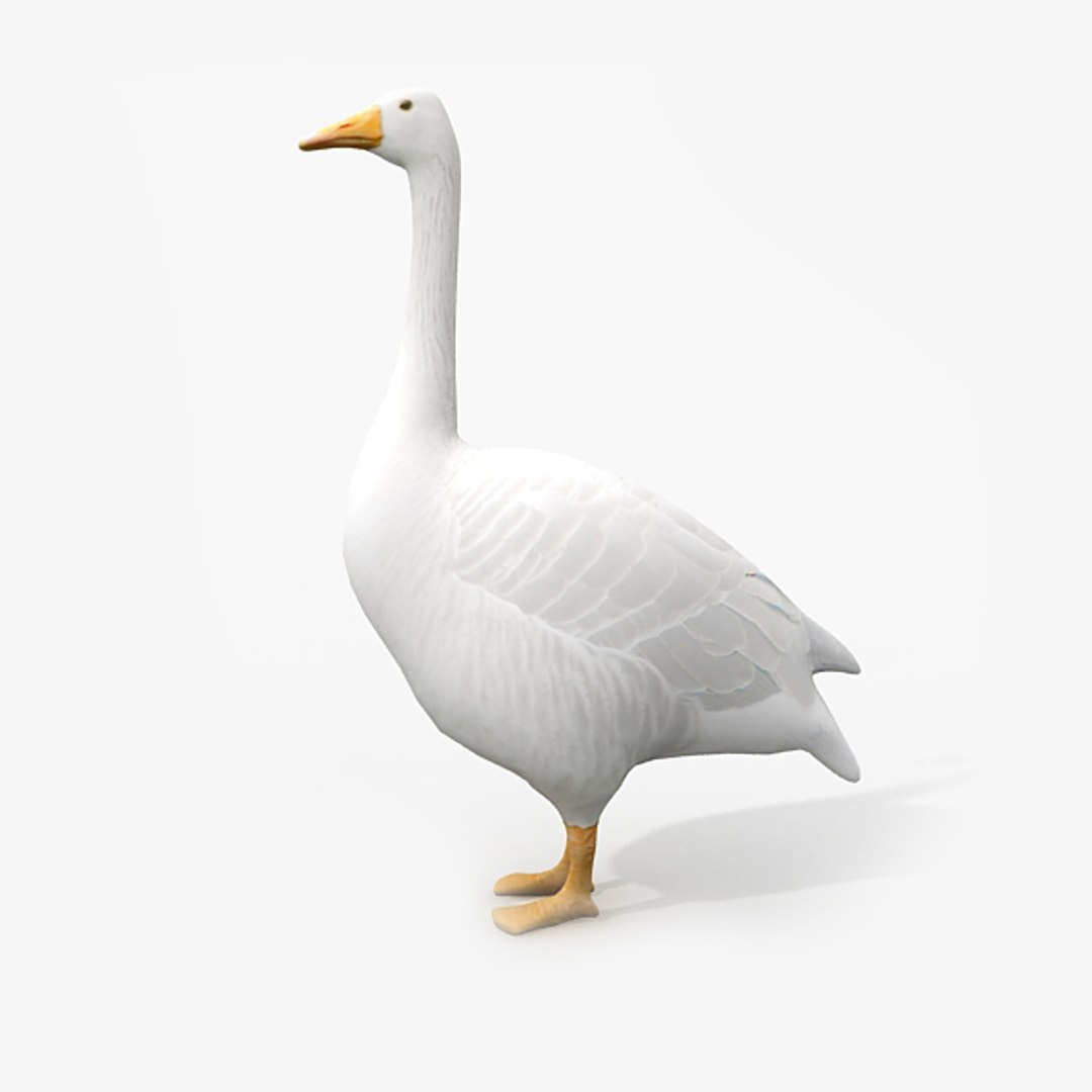 3d model of goose family https://p.turbosquid.com/ts-thumb/Qj/MG8QfE/RPEsvwPS/render4/jpg/1324282737/1920x1080/fit_q87/8db59731f6829fd60da82bd768d33e1fc8474846/render4.jpg