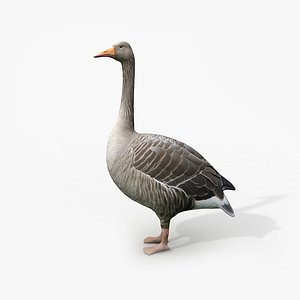 3d model of goose family