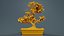 Carmona Bonsai Tree Carmonas Carmona Microphylla Remastered