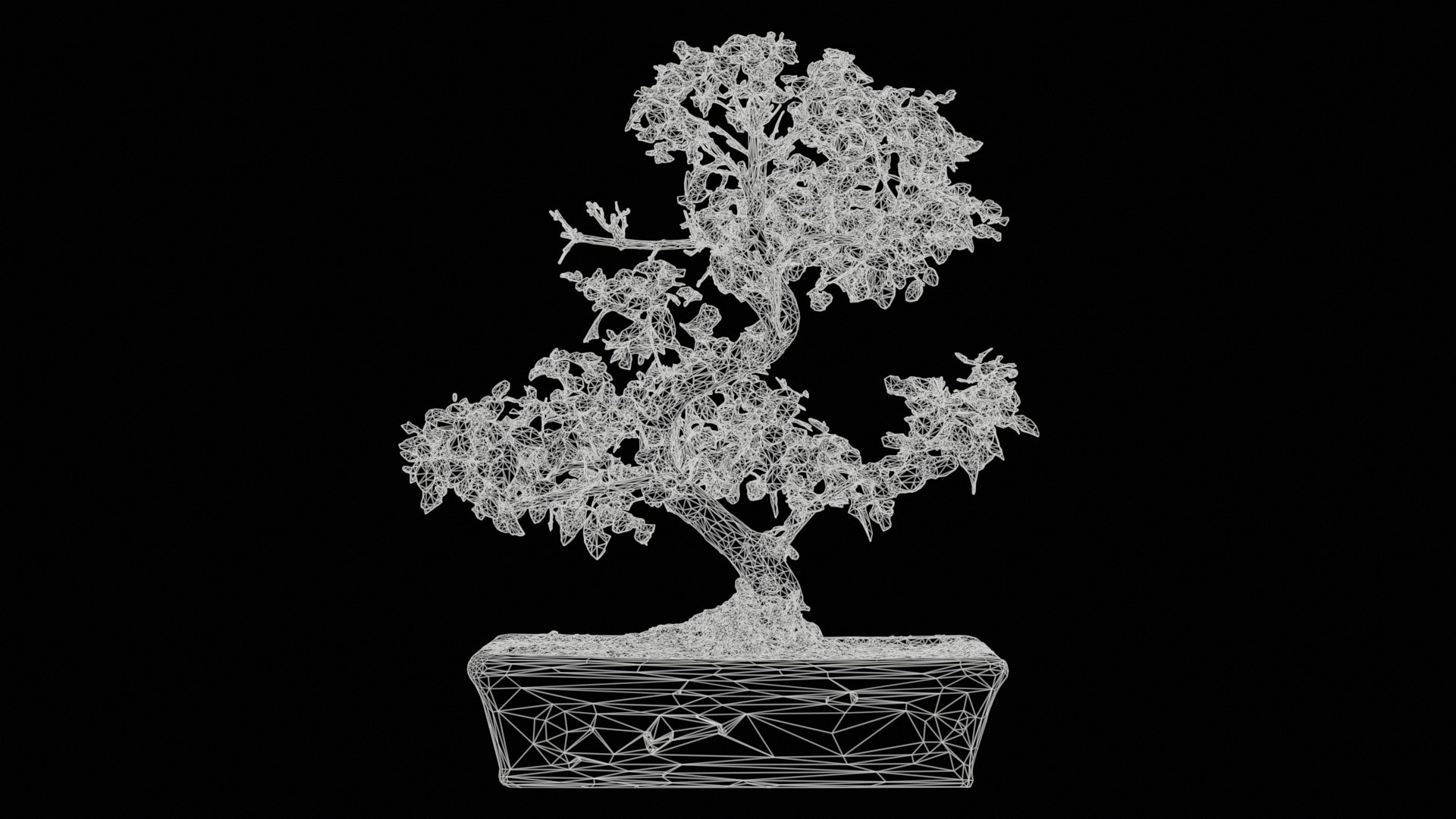 Carmona Bonsai Tree Carmonas Carmona Microphylla Remastered 3D https://p.turbosquid.com/ts-thumb/Qj/OmZ40R/SN/carmona_bonsai_tree_carmonas_carmona_microphylla_11/jpg/1740402886/1920x1080/fit_q87/61fd8eb84cc9d25a8c436740184494737f0f9d59/carmona_bonsai_tree_carmonas_carmona_microphylla_11.jpg