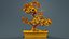 Carmona Bonsai Tree Carmonas Carmona Microphylla Remastered