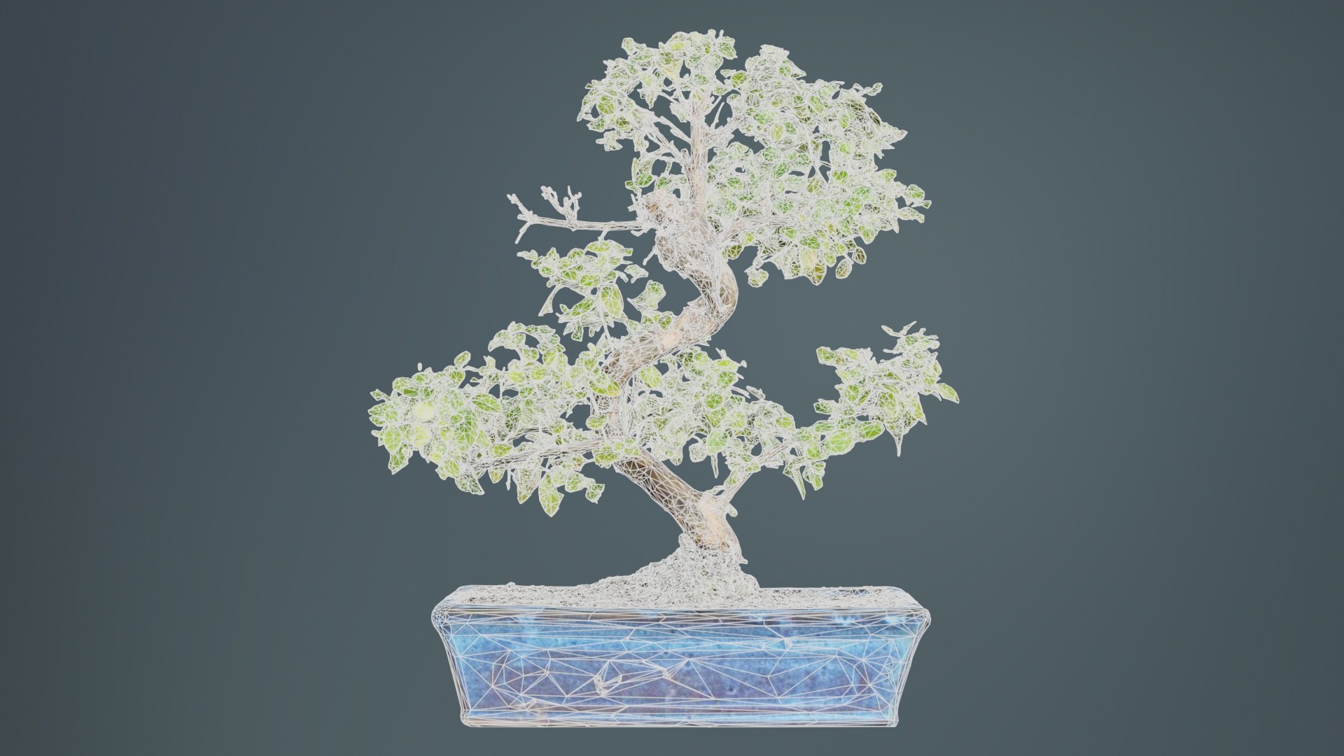 Carmona Bonsai Tree Carmonas Carmona Microphylla Remastered 3D https://p.turbosquid.com/ts-thumb/Qj/OmZ40R/dz/carmona_bonsai_tree_carmonas_carmona_microphylla_09/jpg/1740402880/1920x1080/fit_q87/d881bc8197c1719fdf5829f58774080f3274f240/carmona_bonsai_tree_carmonas_carmona_microphylla_09.jpg
