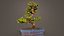 Carmona Bonsai Tree Carmonas Carmona Microphylla Remastered