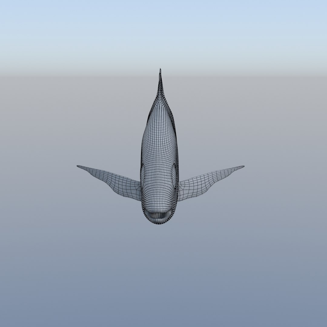 3D fish diplodus sargus animation model https://p.turbosquid.com/ts-thumb/Qj/dEus7R/4aPttYWr/w2/jpg/1571781082/1920x1080/fit_q87/f6c9af9ce202d8f18a97b82fef001472aad80440/w2.jpg