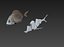 Fish Animated Diplodus Sargus