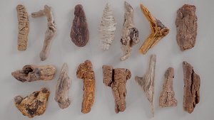 3D 15 3D Scanned Wood Small Collection model